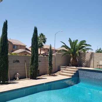 Ivy Tree Service - Tree Services Near Me