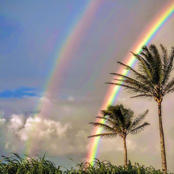 Paradise Postal - North Kohala "Home of the double rainbow" - Post Offices Near Me - Hawi, Hawaii Paradise Postal - North Kohala "Home of the double rainbow" - Post Offices Near Me - Hawi, Hawaii