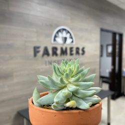 Farmers Insurance - Anna Vargas
