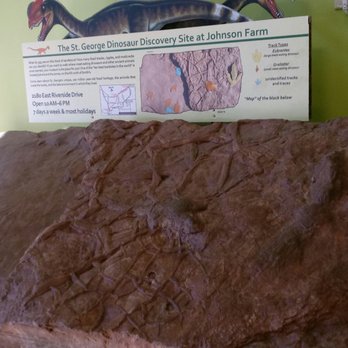 Smith's Marketplace - Dinosaur tracks in Smith's from the museum next door! 3/4/18 - Drugstores Near Me - St. George, Utah Smith's Marketplace - Dinosaur tracks in Smith's from the museum next door! 3/4/18 - Drugstores Near Me - St. George, Utah