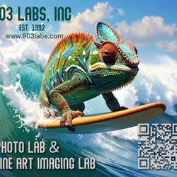 803 Labs
