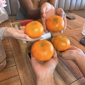 All You Need - Breakfast & Brunch Near Me - Sunny Isles Beach, Florida All You Need - Breakfast & Brunch Near Me - Sunny Isles Beach, Florida