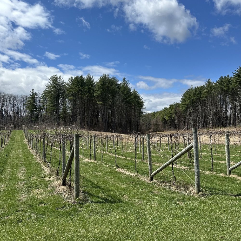 Clover Pond Vineyard - Wine Tasting Room Near Me - Altamont, New York
