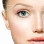 Photo of Elegant Brows