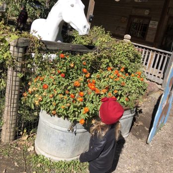 Vala's Pumpkin Patch - Venues & Event Spaces Near Me - Gretna, Nebraska
