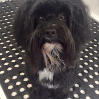 Wagging Tails - Pet Stores Near Me - Forest Hills, New York Wagging Tails - Pet Stores Near Me - Forest Hills, New York