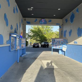 Blue Moo - Ice Cream & Frozen Yogurt Near Me - West Jordan, Utah
