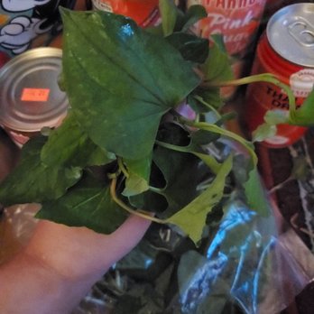 Mithepheap Market - They had my favorite veggie too! Love it in my spring rolls - International Grocery Near Me - Oakland, California Mithepheap Market - They had my favorite veggie too! Love it in my spring rolls - International Grocery Near Me - Oakland, California