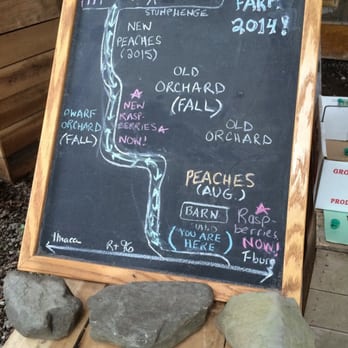 Indian Creek Farm - Fruits & Veggies Near Me - Ithaca, New York Indian Creek Farm - Fruits & Veggies Near Me - Ithaca, New York