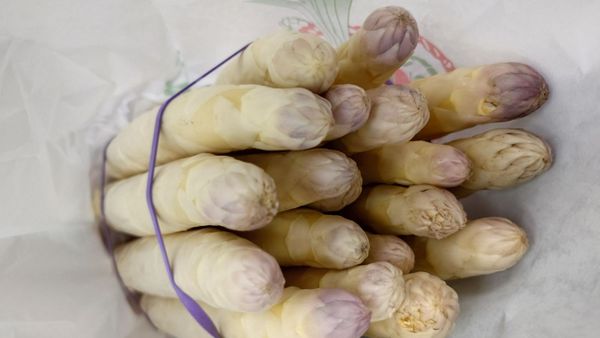 Le Palais du Fruit - Montorgueil by null