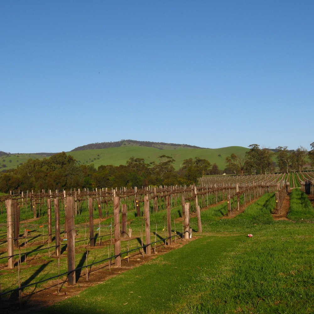 Jacob's Restaurant - Restaurants Near Me - Lyndoch, SA