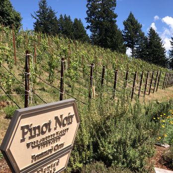 Willamette Valley Vineyards - Their vines! - Wineries Near Me - Turner, Oregon Willamette Valley Vineyards - Their vines! - Wineries Near Me - Turner, Oregon