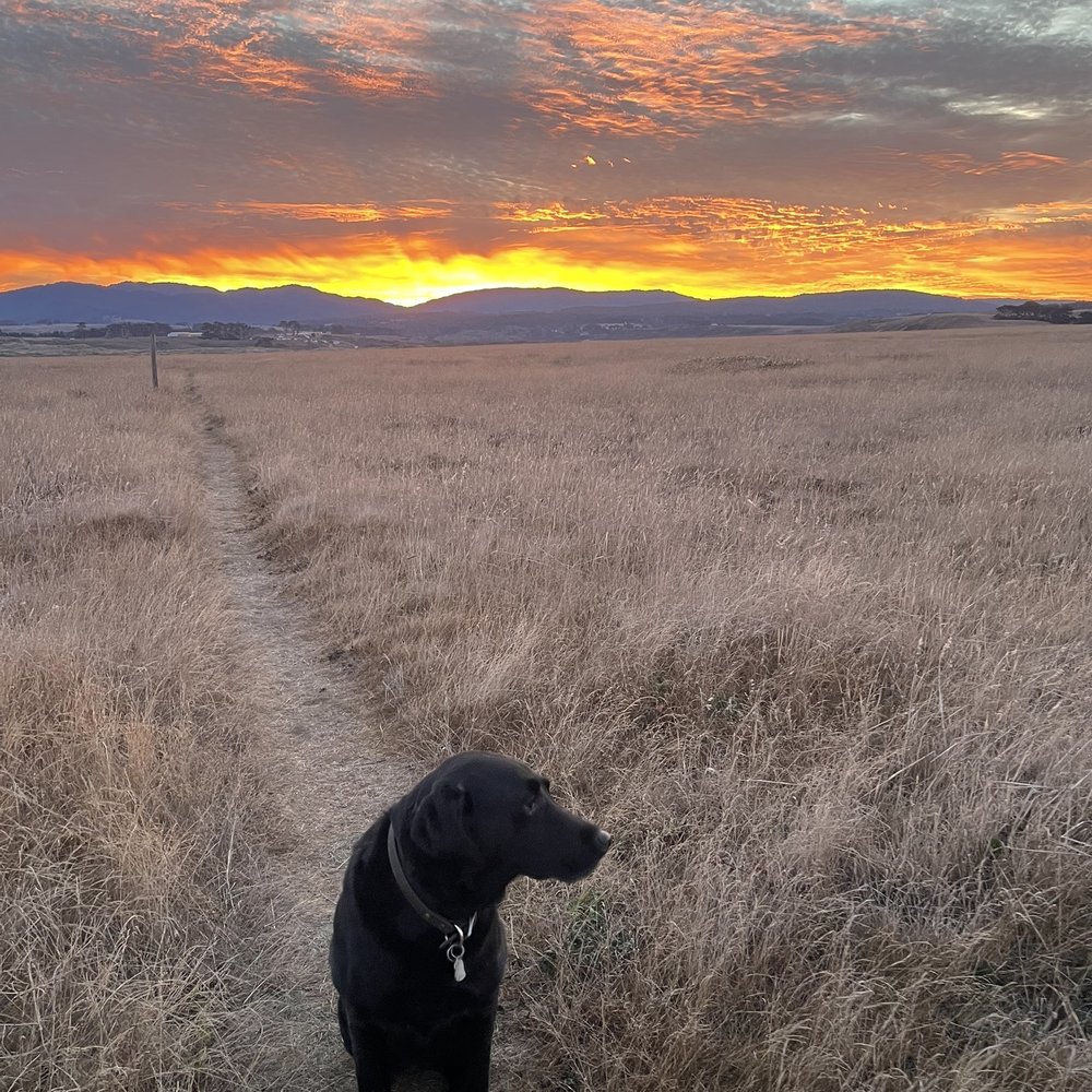 Sunrise walk Sunrise walk