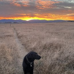 Sunrise walk Sunrise walk