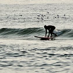 Hammer Surf School