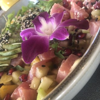 Ojo de Agua - Tropical ceviche close up! - Juice Bars & Smoothies Near Me - Houston, Texas Ojo de Agua - Tropical ceviche close up! - Juice Bars & Smoothies Near Me - Houston, Texas