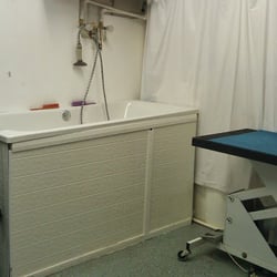 All American Groomer - Grooming room