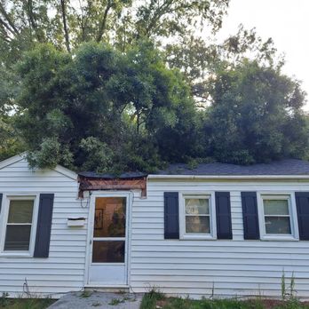 Holliday Landscape & Tree - a house with a tree on top of it - Tree Services Near Me