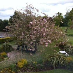 Grovefield House Hotel - The garden