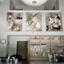 Photo of Colonial Veterinary Clinic
