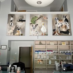 Colonial Veterinary Clinic - Lobby with paintings by artist Meredith Sink.