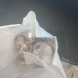 Funnel cake donuts steaming hot