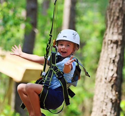 Charleston Adventure Forest by null