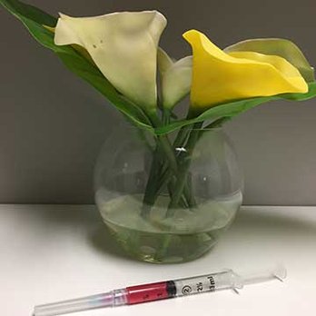 semaglutide ileus lawsuit in louisiana FDA Adds Intestinal Blockage Reports to Ozempic Labeling