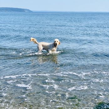 Double Bluff Beach - Happiness!!!! Baci!! - Beaches Near Me - Freeland, Washington