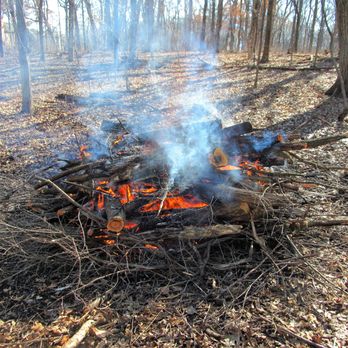 Deer Grove West - Volunteer Workday brush pile burn. - Parks Near Me - Palatine, Illinois