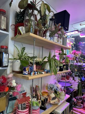 Terra Thai by null Terra Thai by null