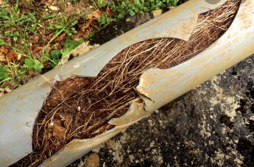 Slide of J R Drain Cleaning