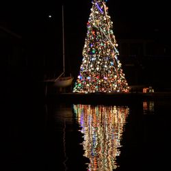 Captain Morgan's Delta Adventures - Beautiful Christmas Tree from a Lighted Bay Cruise, December 2018