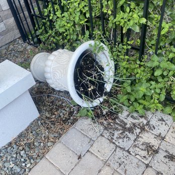 Last Mile Moving - How they left my house and didn't bother to pick it back up - Movers Near Me Last Mile Moving - How they left my house and didn't bother to pick it back up - Movers Near Me