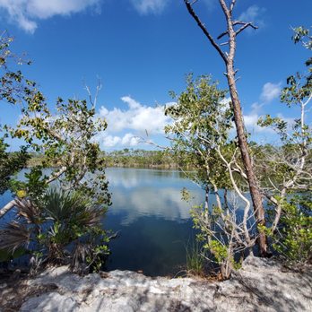 Blue Hole Observation Platform - Hiking Near Me - Big Pine Key, Florida