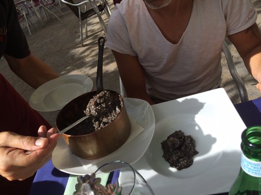 Terra di Vino by null