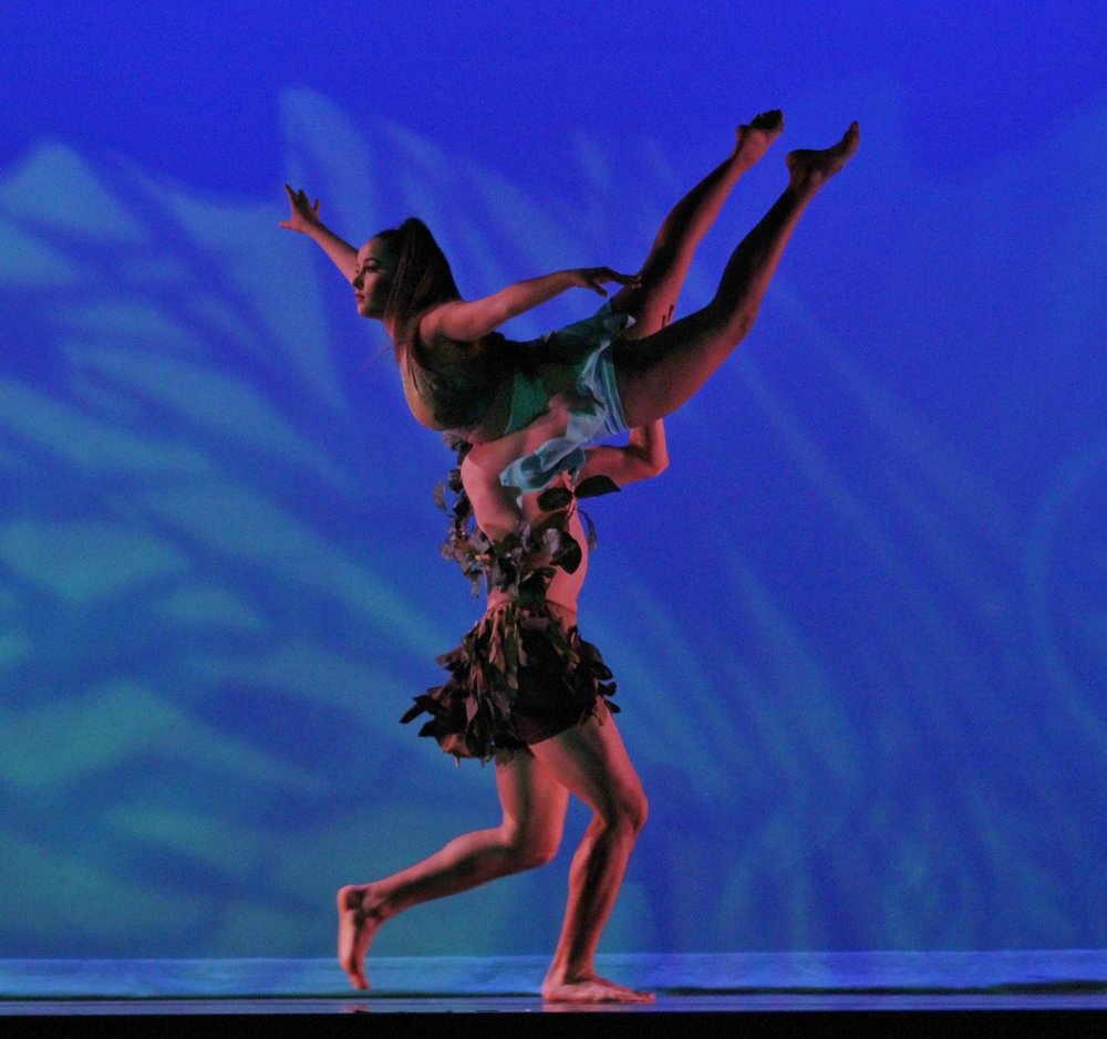 TERRE’S DANCE Updated June 2024 Request Information 5819