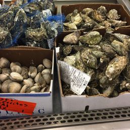 Oysters