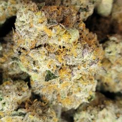 Phippsburg Flower Company - Craft cannabis near me