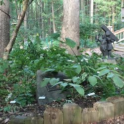 Locust Grove Nature Center - Behind  the Nature center