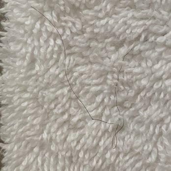 Stay Alfred - "Fresh linens" had hair in them. (arrival inspection) - Vacation Rentals Near Me - Columbus, Ohio
