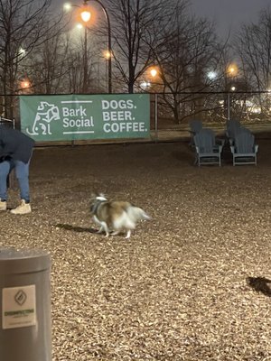 Bark Social by null