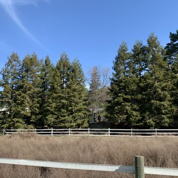 Fidel's Tree Experts - Before - Weeds and grass were everywhere - Tree Services Near Me