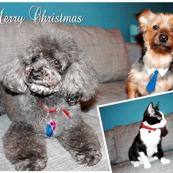 Animal Crackers - Pet Stores Near Me - Miami, Florida Animal Crackers - Pet Stores Near Me - Miami, Florida