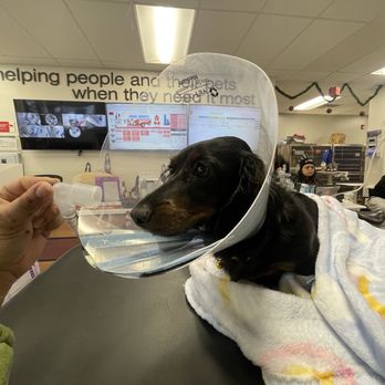VEG ER for Pets - I had to put oxygen mask on her myself bc they didn't do it. The "Vet" Tusa ignored us like a receptionist, on the phone all day - Emergency Pet Hospital Near Me - Hoboken, New Jersey VEG ER for Pets - I had to put oxygen mask on her myself bc they didn't do it. The "Vet" Tusa ignored us like a receptionist, on the phone all day - Emergency Pet Hospital Near Me - Hoboken, New Jersey