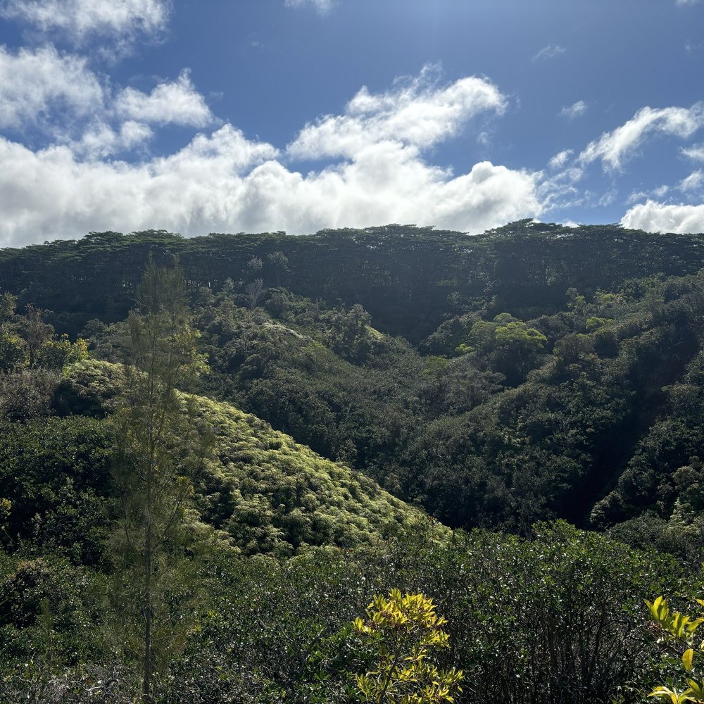 North Shore EcoTours - one of the many incredible views along the way - Hiking Near Me - Haleiwa, Hawaii North Shore EcoTours - one of the many incredible views along the way - Hiking Near Me - Haleiwa, Hawaii