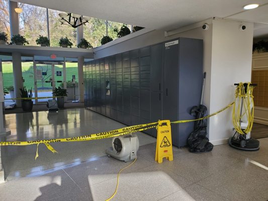 Tritech Services - Mount Rainier, MD