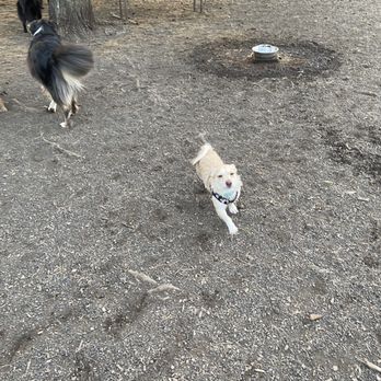 Brentwood Park - Dog park time - Dog Parks Near Me - Portland, Oregon Brentwood Park - Dog park time - Dog Parks Near Me - Portland, Oregon