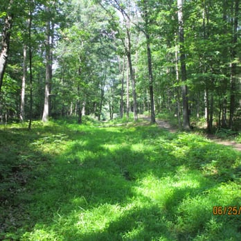 Deep Cut Loop Trail - Hiking Near Me - Manassas, Virginia