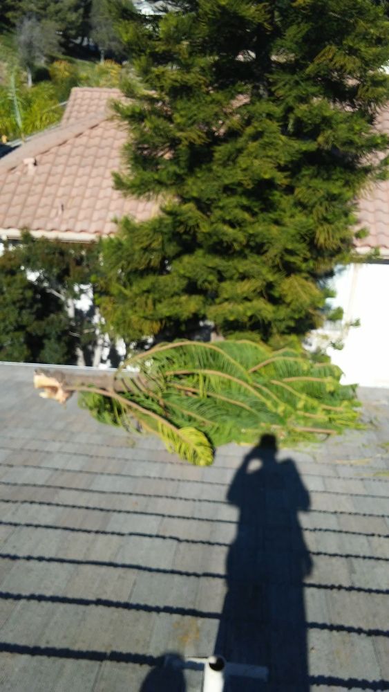 Slide of First Choice N Gutters